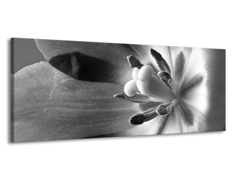 Canvas Schilderij Bloem | Zwart, Wit, Grijs | 145x58cm 1Luik