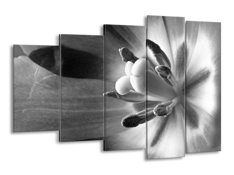 Canvas Schilderij Bloem | Zwart, Wit, Grijs | 150x100cm 5Luik