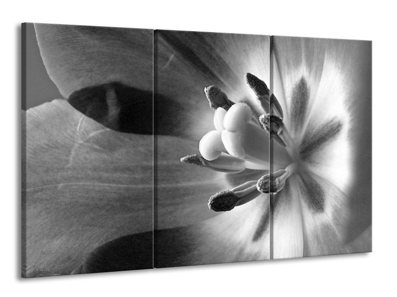 Canvas Schilderij Bloem | Zwart, Wit, Grijs | 165x100cm 3Luik