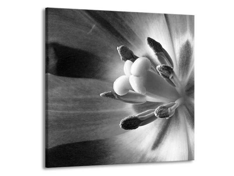 Canvas Schilderij Bloem | Zwart, Wit, Grijs | 70x70cm 1Luik