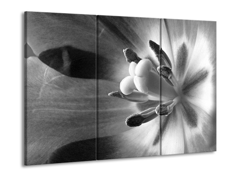 Canvas Schilderij Bloem | Zwart, Wit, Grijs | 60x90cm 3Luik