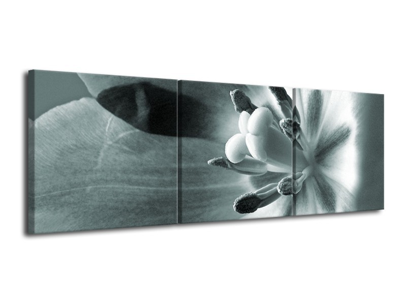 Canvas Schilderij Bloem | Grijs, Groen | 120x40cm 3Luik