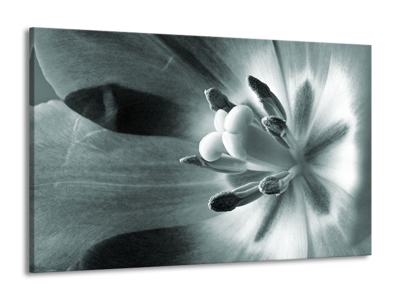 Canvas Schilderij Bloem | Grijs, Groen | 140x90cm 1Luik