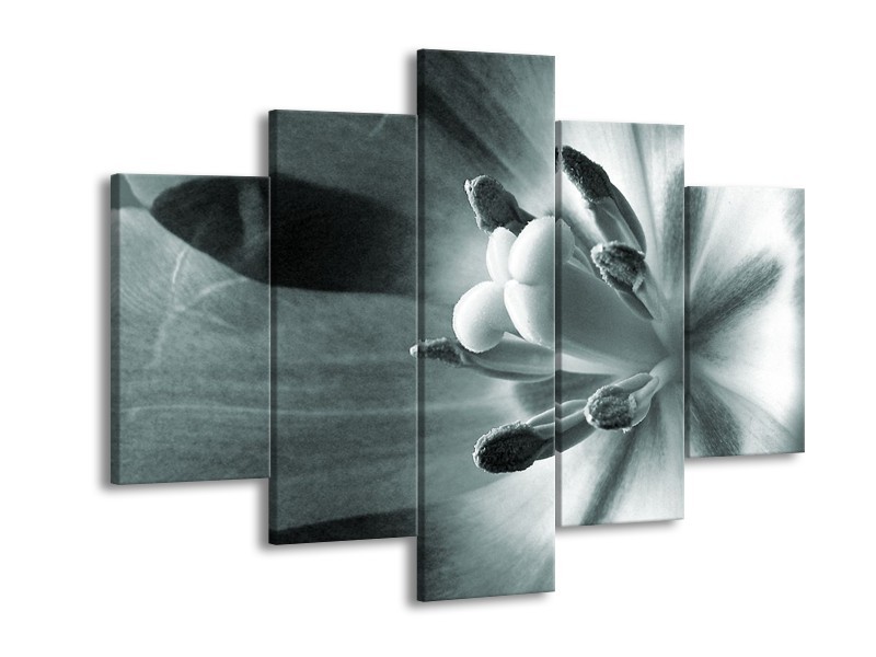 Canvas Schilderij Bloem | Grijs, Groen | 150x105cm 5Luik
