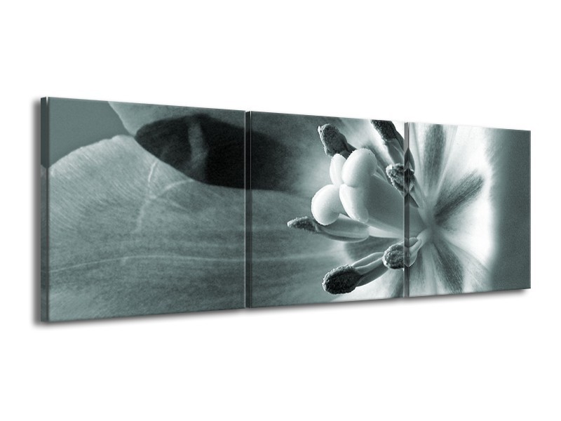 Canvas Schilderij Bloem | Grijs, Groen | 150x50cm 3Luik