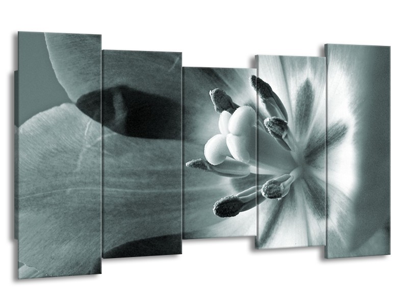Canvas Schilderij Bloem | Grijs, Groen | 150x80cm 5Luik