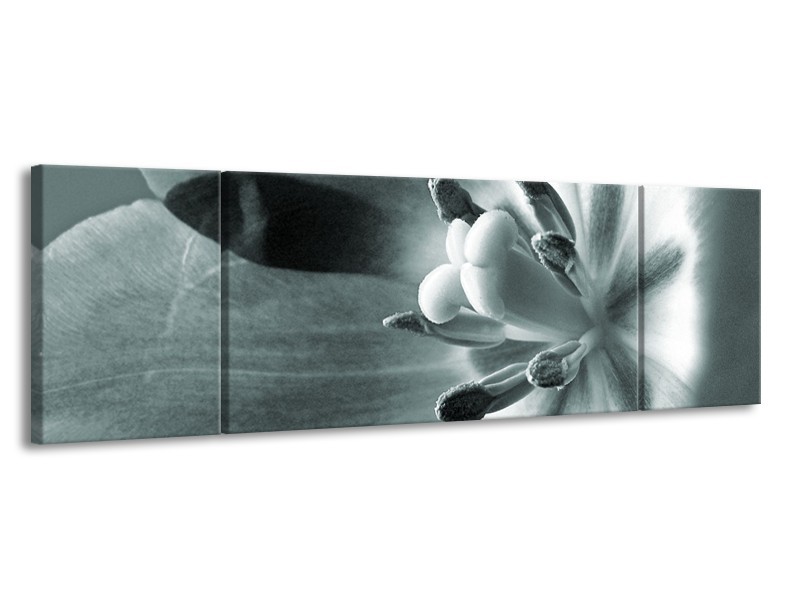 Canvas Schilderij Bloem | Grijs, Groen | 170x50cm 3Luik