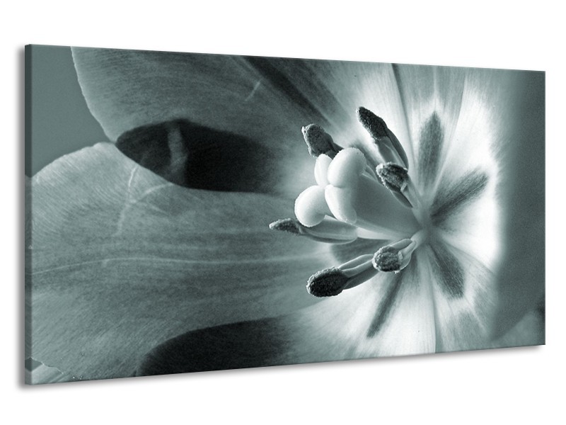 Canvas Schilderij Bloem | Grijs, Groen | 190x100cm 1Luik