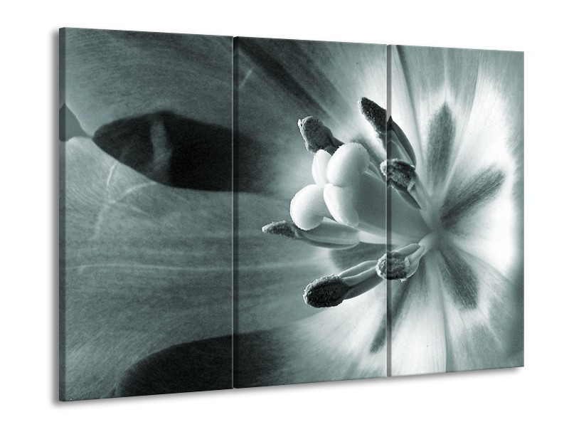 Canvas Schilderij Bloem | Grijs, Groen | 60x90cm 3Luik