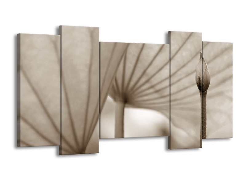 Glasschilderij Bloem | Sepia | 120x65cm 5Luik