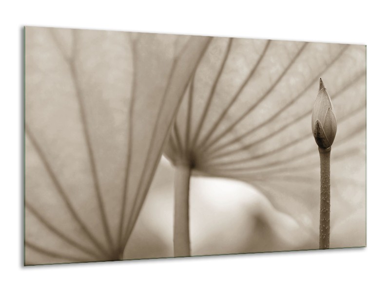 Canvas Schilderij Bloem | Sepia | 120x70cm 1Luik