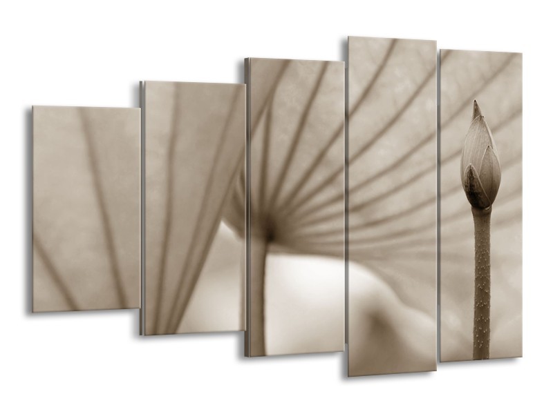 Canvas Schilderij Bloem | Sepia | 150x100cm 5Luik