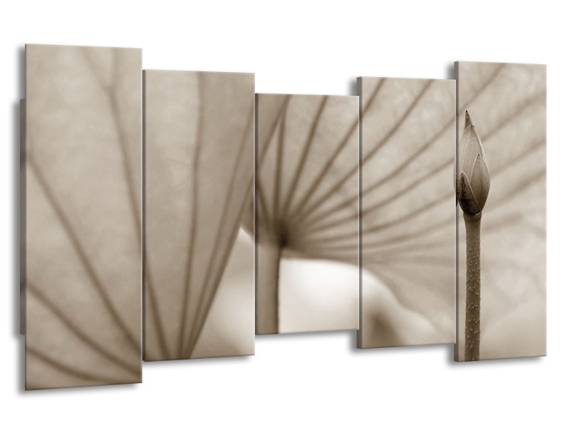 Canvas Schilderij Bloem | Sepia | 150x80cm 5Luik