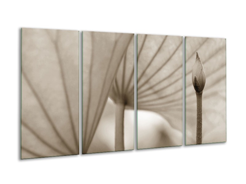 Canvas Schilderij Bloem | Sepia | 160x80cm 4Luik