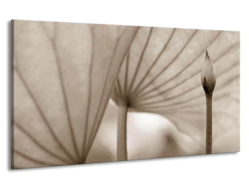 Canvas Schilderij Bloem | Sepia | 190x100cm 1Luik