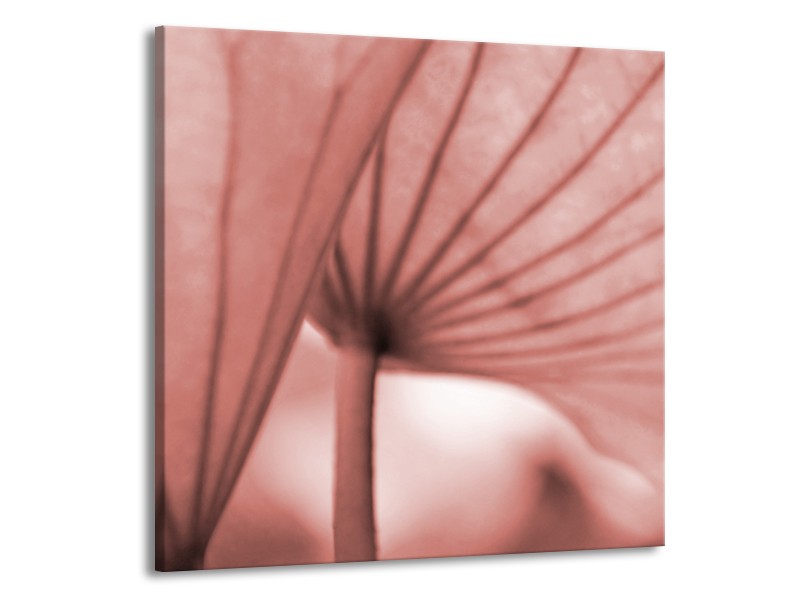 Canvas Schilderij Bloem | Bruin, Rood | 50x50cm 1Luik