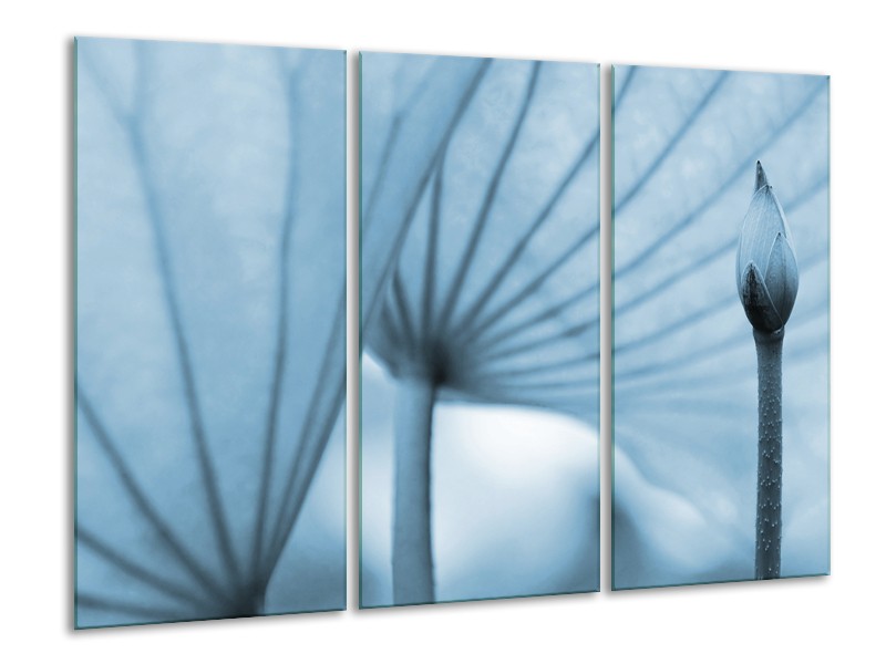 Canvas Schilderij Bloem | Blauw | 120x80cm 3Luik