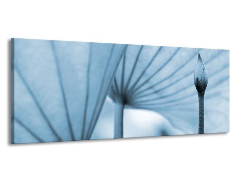 Glasschilderij Bloem | Blauw | 145x58cm 1Luik