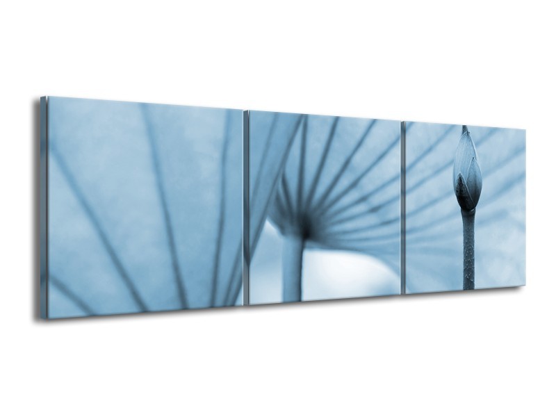 Glasschilderij Bloem | Blauw | 150x50cm 3Luik