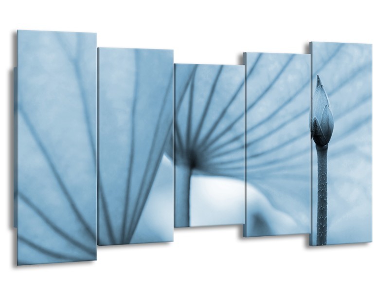 Canvas Schilderij Bloem | Blauw | 150x80cm 5Luik