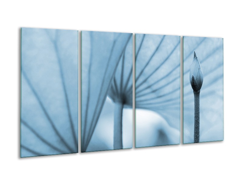 Glasschilderij Bloem | Blauw | 160x80cm 4Luik