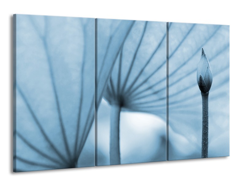 Glasschilderij Bloem | Blauw | 165x100cm 3Luik