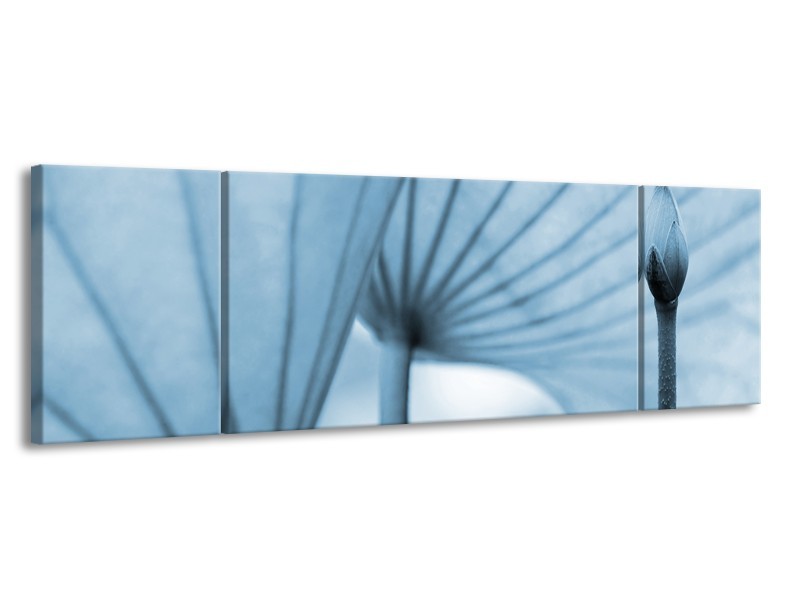 Glasschilderij Bloem | Blauw | 170x50cm 3Luik