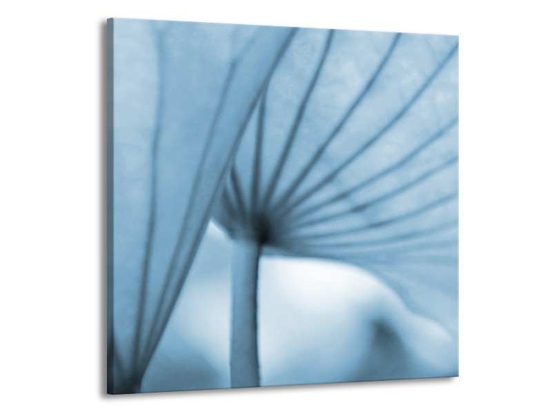Canvas Schilderij Bloem | Blauw | 50x50cm 1Luik