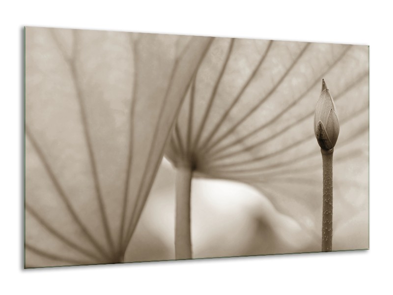 Canvas Schilderij Bloem | Sepia | 120x70cm 1Luik