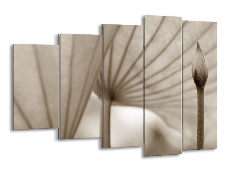 Canvas Schilderij Bloem | Sepia | 150x100cm 5Luik