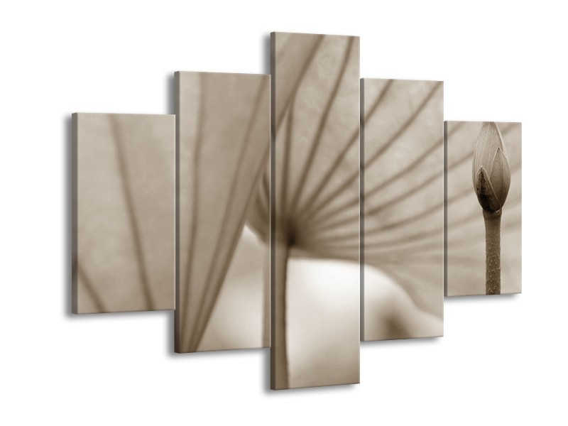 Canvas Schilderij Bloem | Sepia | 150x105cm 5Luik