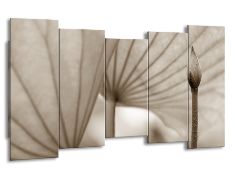 Canvas Schilderij Bloem | Sepia | 150x80cm 5Luik