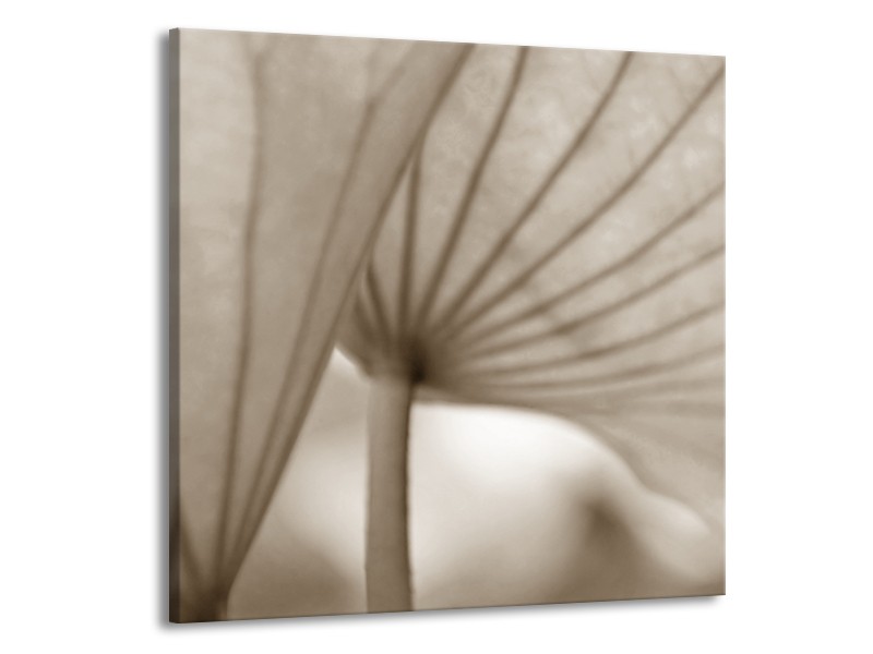 Canvas Schilderij Bloem | Sepia | 70x70cm 1Luik