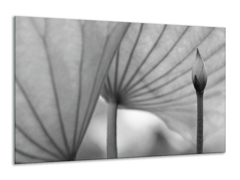 Canvas Schilderij Bloem | Grijs | 120x70cm 1Luik