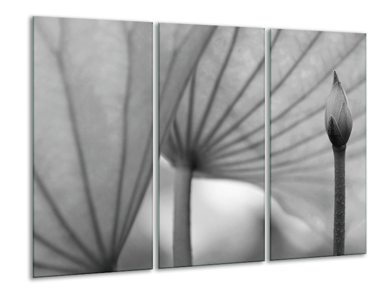 Canvas Schilderij Bloem | Grijs | 120x80cm 3Luik