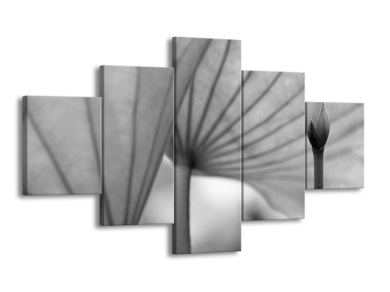 Canvas Schilderij Bloem | Grijs | 125x70cm 5Luik