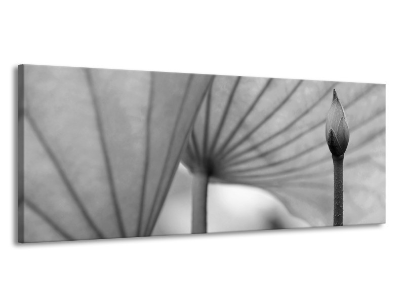 Canvas Schilderij Bloem | Grijs | 145x58cm 1Luik