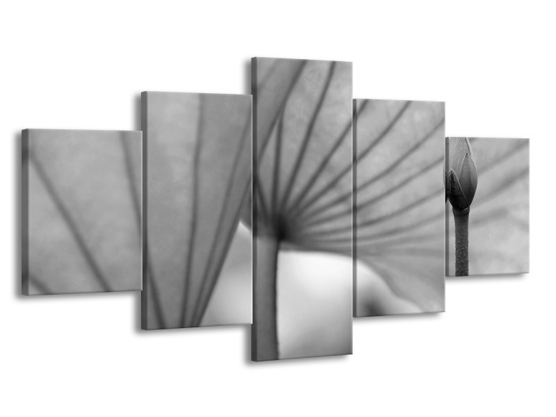Canvas Schilderij Bloem | Grijs | 150x80cm 5Luik