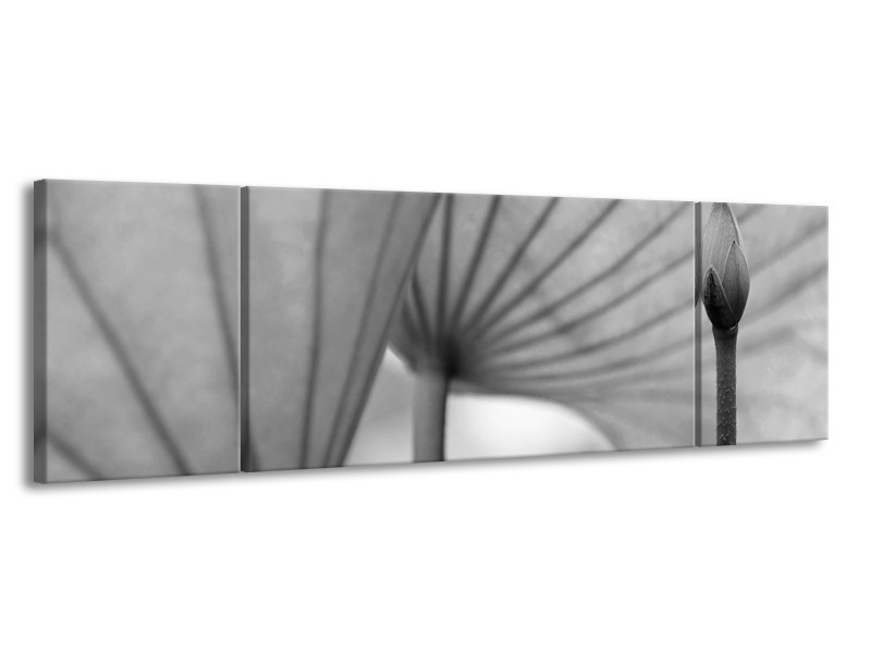Canvas Schilderij Bloem | Grijs | 170x50cm 3Luik
