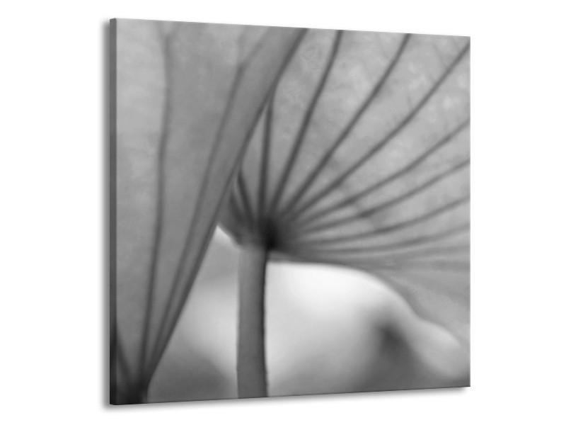 Canvas Schilderij Bloem | Grijs | 70x70cm 1Luik
