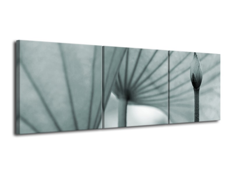 Canvas Schilderij Bloem | Grijs, Groen | 120x40cm 3Luik