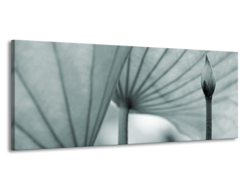 Canvas Schilderij Bloem | Grijs, Groen | 145x58cm 1Luik