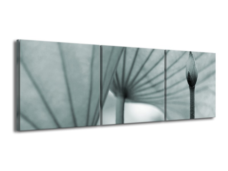 Glasschilderij Bloem | Grijs, Groen | 150x50cm 3Luik