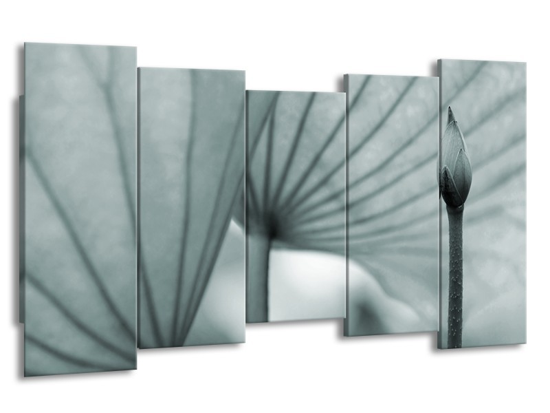 Canvas Schilderij Bloem | Grijs, Groen | 150x80cm 5Luik