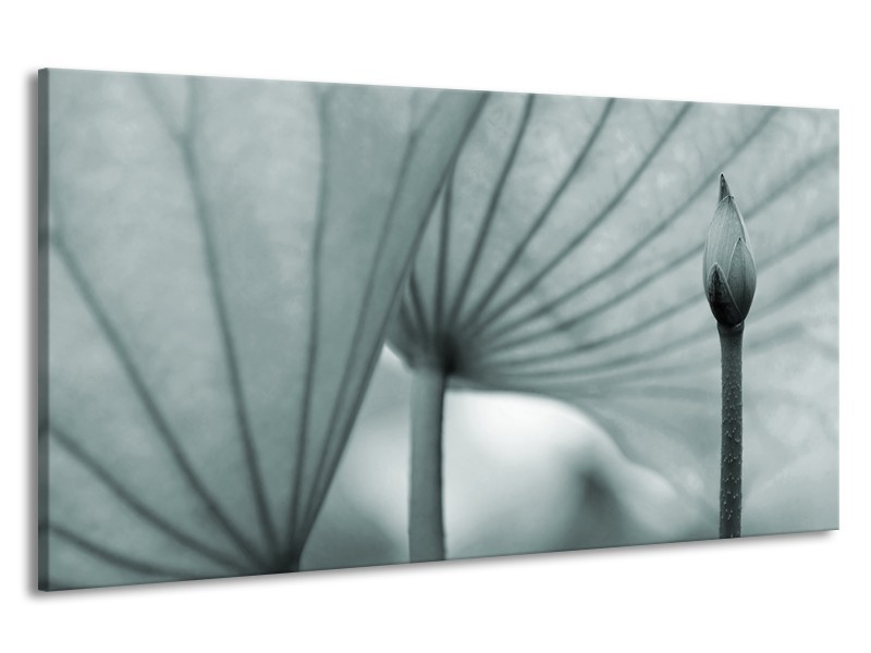 Canvas Schilderij Bloem | Grijs, Groen | 190x100cm 1Luik