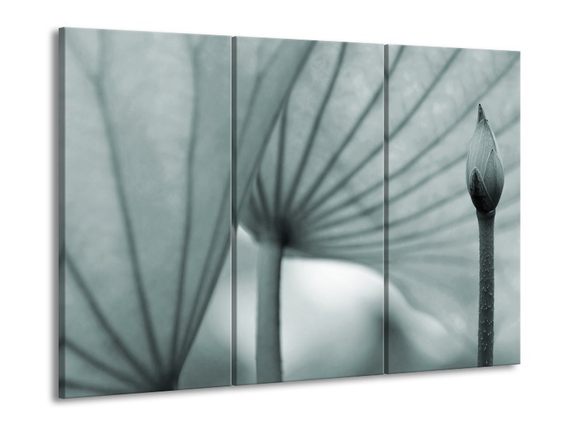 Canvas Schilderij Bloem | Grijs, Groen | 60x90cm 3Luik