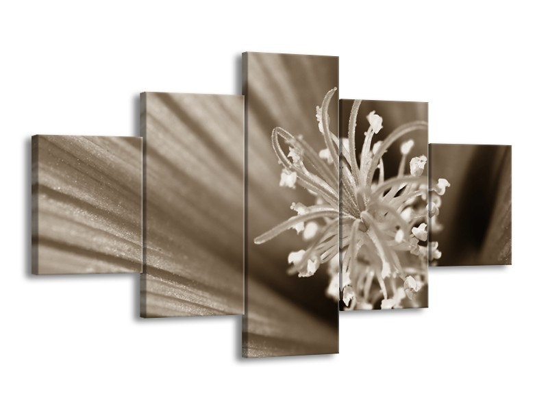 Glasschilderij Bloem | Sepia | 125x70cm 5Luik