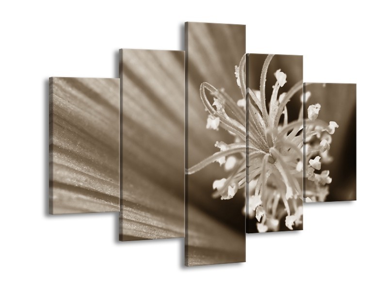 Glasschilderij Bloem | Sepia | 150x105cm 5Luik