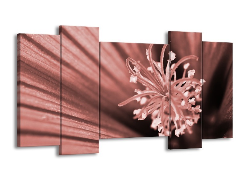 Canvas Schilderij Bloem | Bruin, Rood | 120x65cm 5Luik