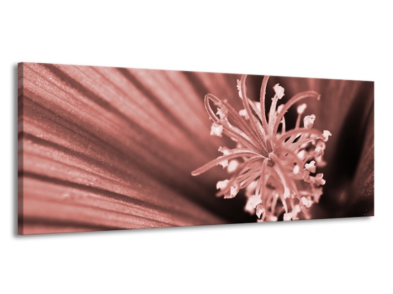 Canvas Schilderij Bloem | Bruin, Rood | 145x58cm 1Luik